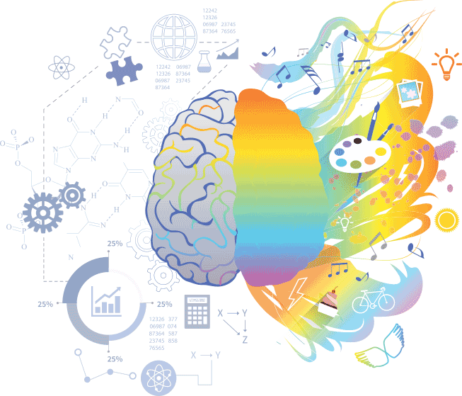 Brain Illustration